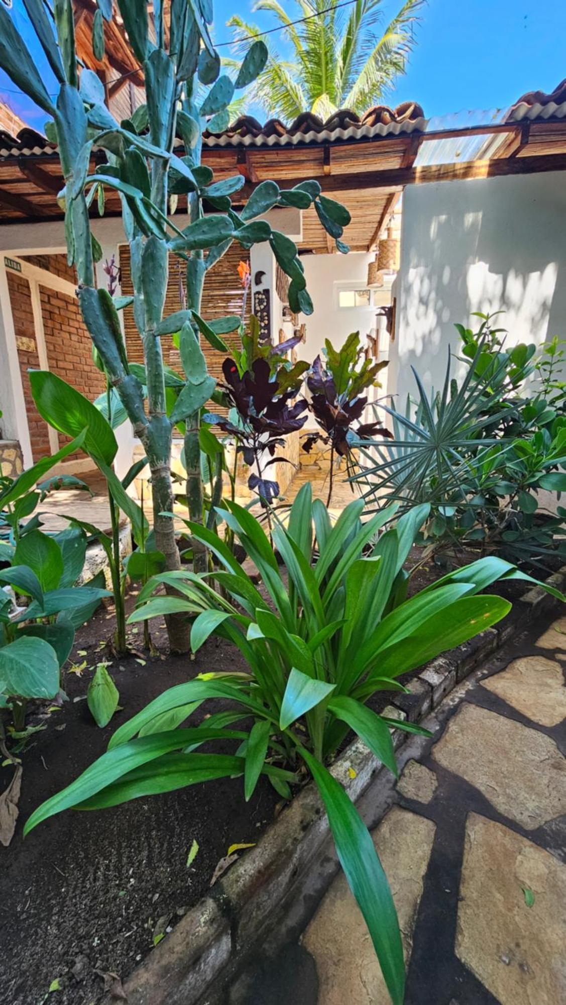 Mano A Mano Eco Hostal Las Peñitas Екстериор снимка