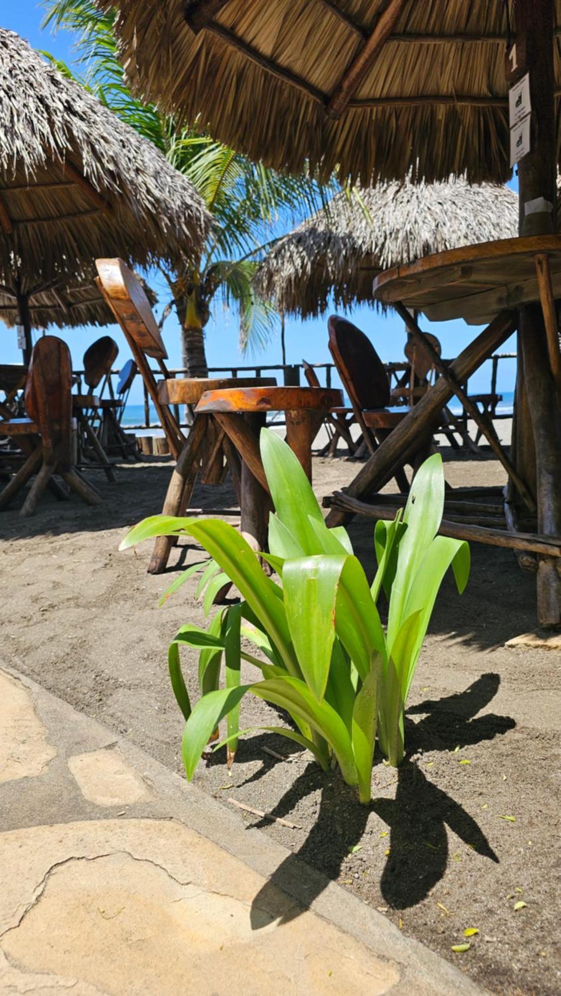 Mano A Mano Eco Hostal Las Peñitas Екстериор снимка